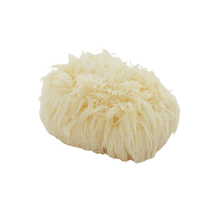 Lion's Mane Mushroom (150g)