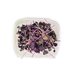 Micro Rioja Radish