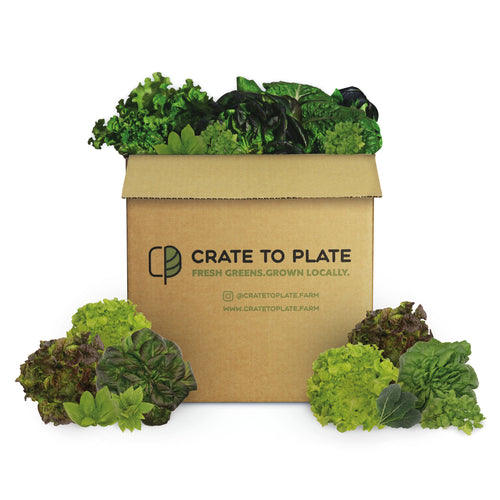 Salad Box