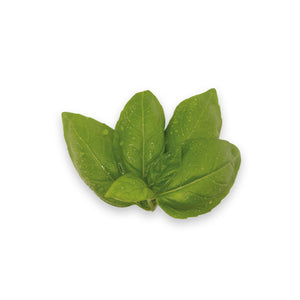 Genovese Basil (50g)