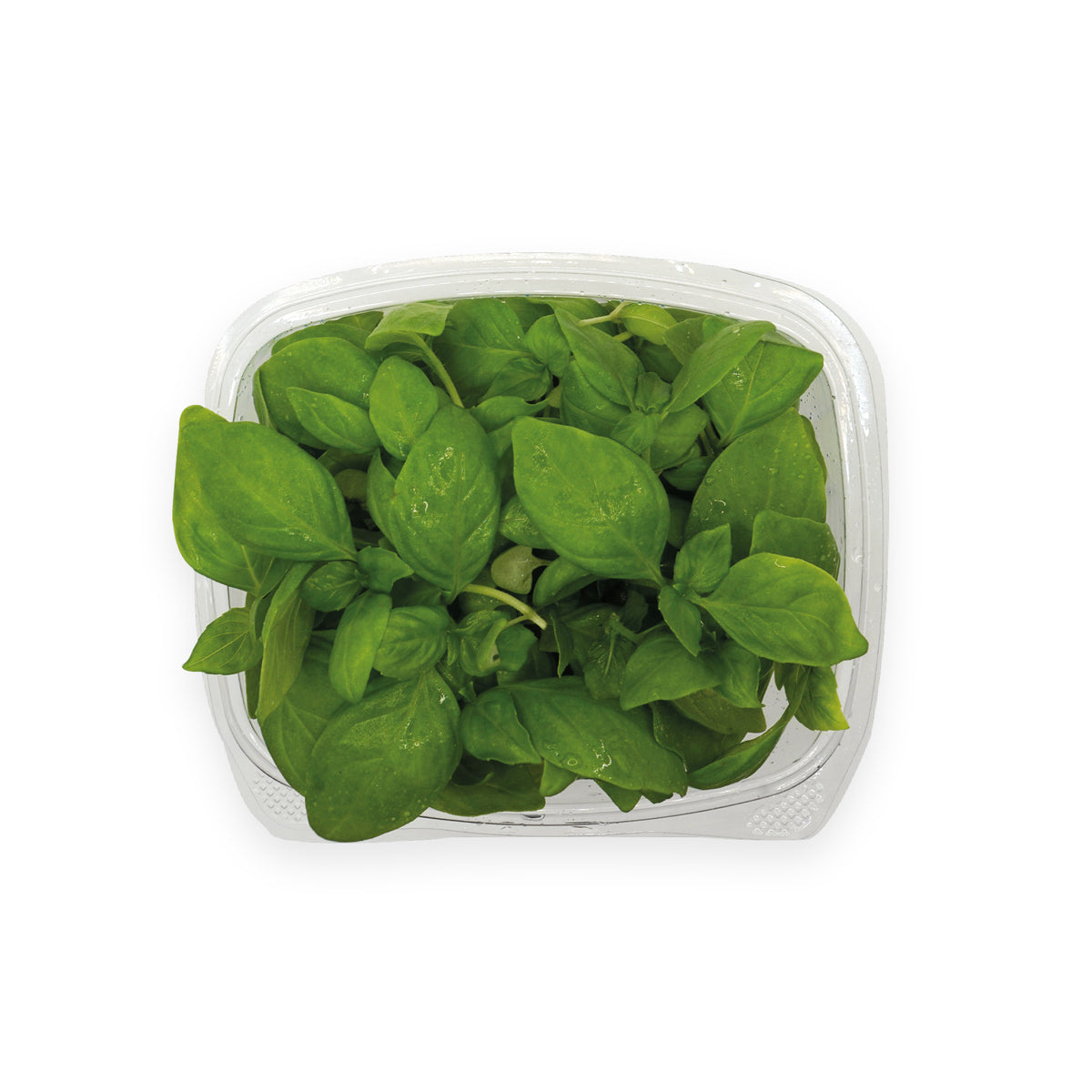 Lemon Basil 20g Crate to Plate