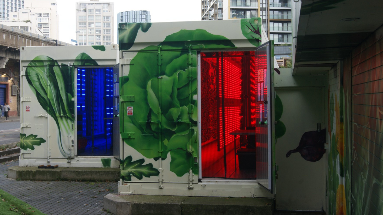 Featured In: London on the Inside Explores the Future of Urban Farming