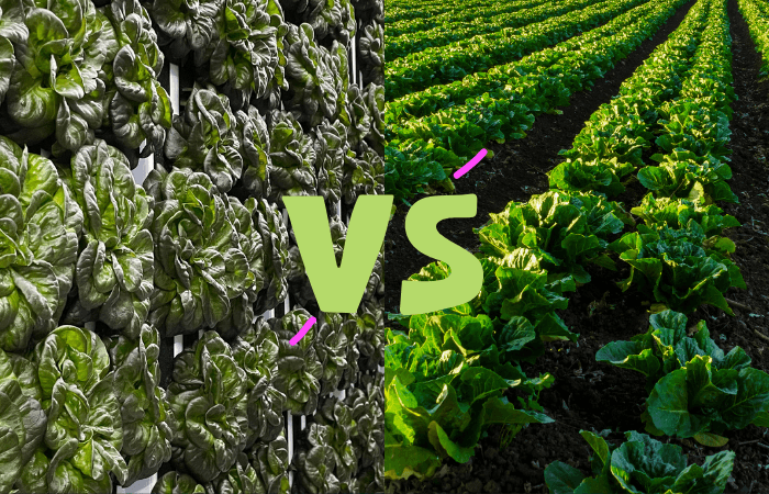 Water Fed vs Soil Fed Produce