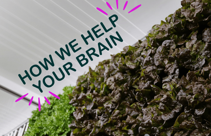Why Greens Matter For Your Brain