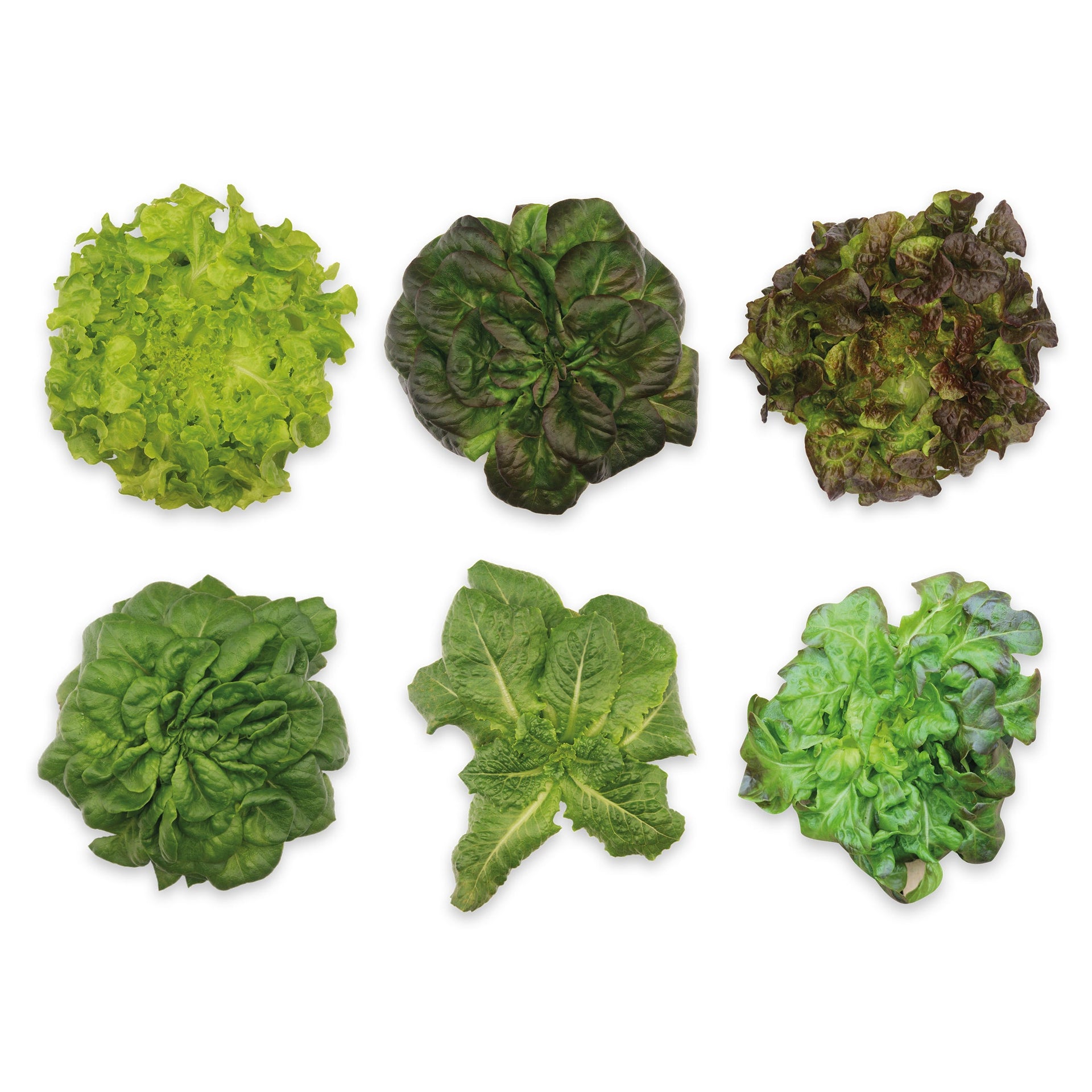 Leafy Greens