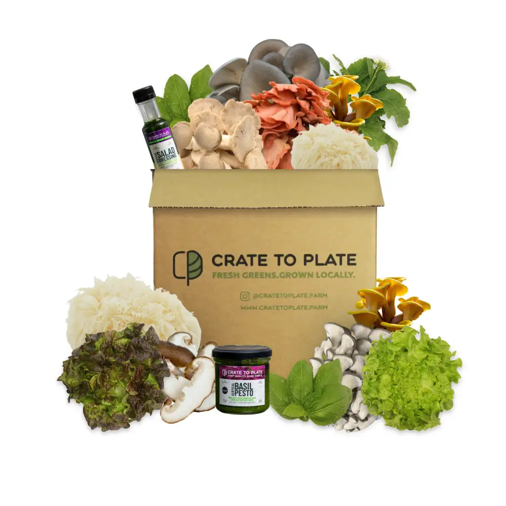 35% off Subscription Box + Free Item Offer Collection