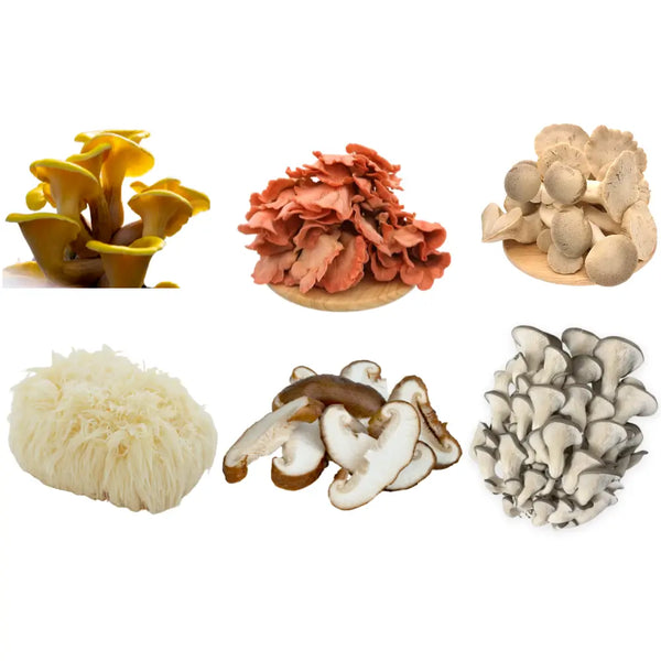 Mushrooms