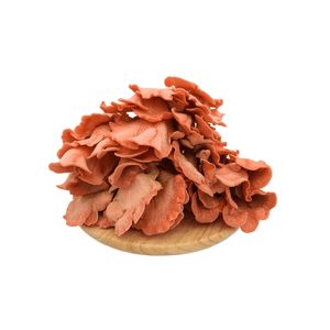 Pink Oyster Mushroom (150g) (Free Item)