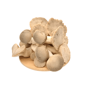 King Oyster Mushroom (150g)