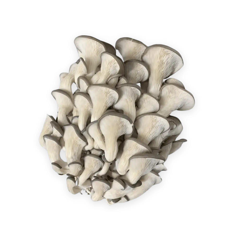 Grey Oyster Mushrooms (150g)