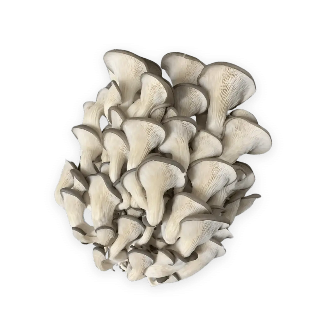 Grey Oyster Mushrooms (150g)
