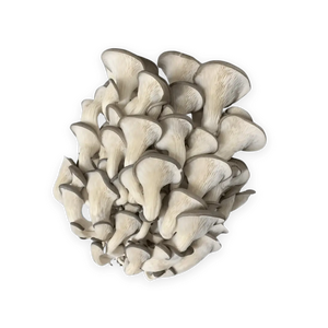Grey Oyster Mushrooms (150g)