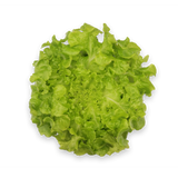 Green Oak