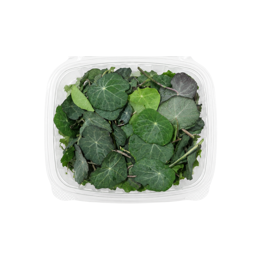 Nasturtium