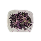 Rioja Radish