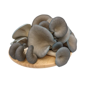 Blue Oyster Mushroom (150g)