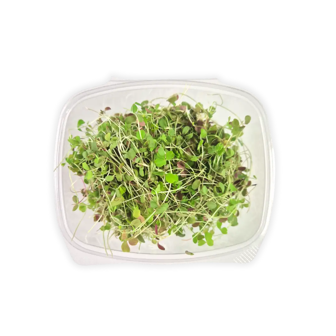 Lemon Clover