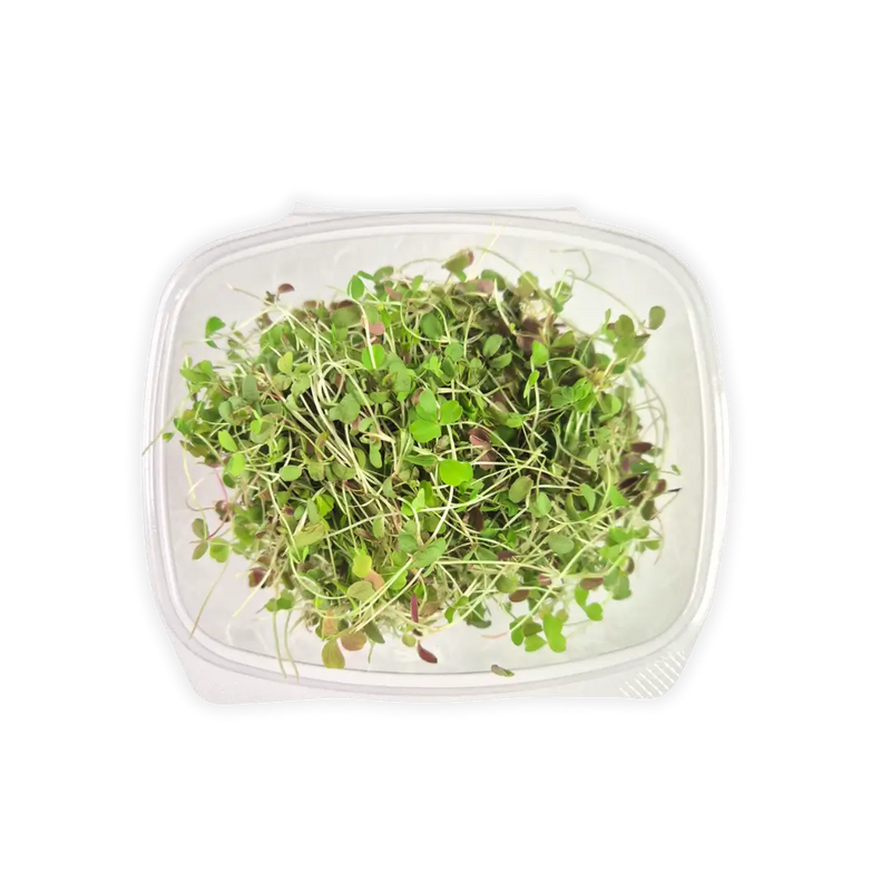 Lemon Clover