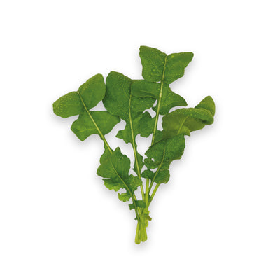 Rocket (70g)