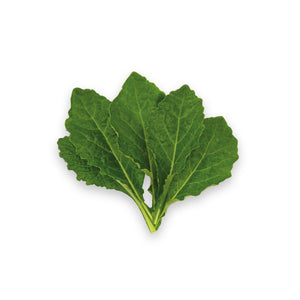 Toscano Kale (70g)