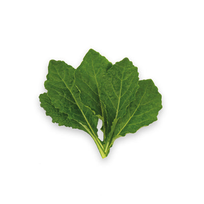 Toscano Kale (70g)