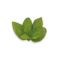 Genovese Basil (50g)