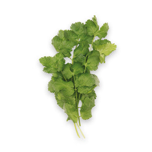 Micro Coriander (20g)