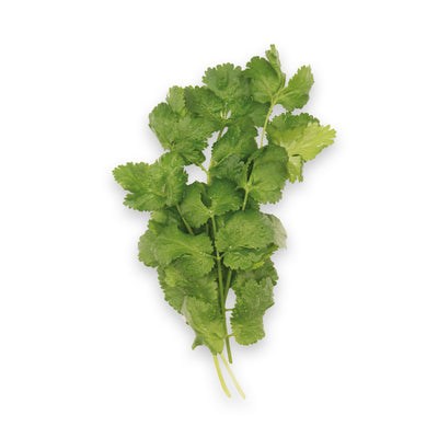 Coriander (20g)