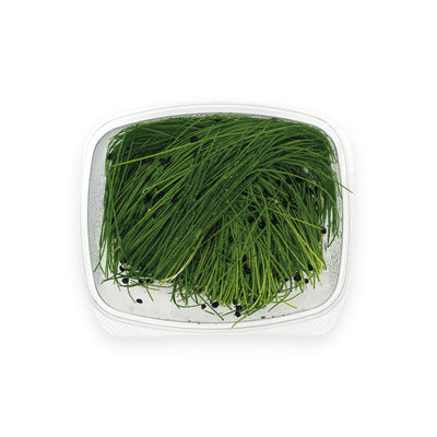 Garlic Chives (20g)