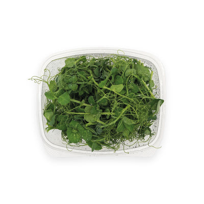Pea Shoots (20g)