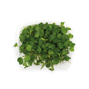 Cavolo Nero Kale Microgreens (20g)